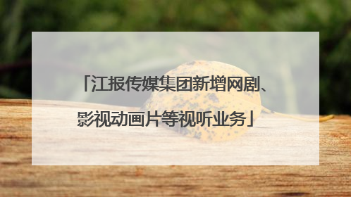 江报传媒集团新增网剧、影视动画片等视听业务